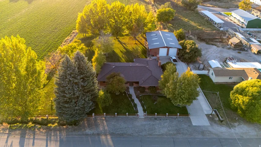 Single-story residence featuring a brown shingle roof, established landscaping, and a concrete driveway