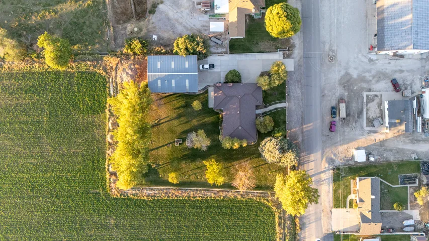 Ranch-style residence featuring a dark shingle roof and a spacious front yard with mature trees