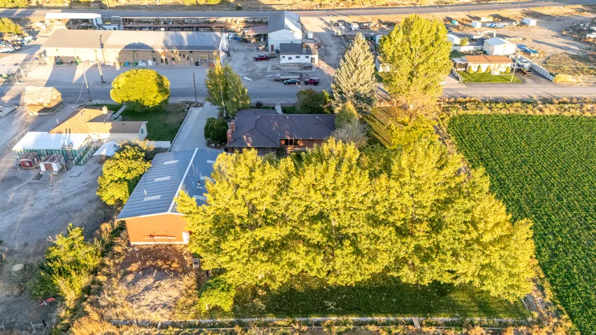Expansive property featuring mature trees and a substantial outbuilding with a metal roof
