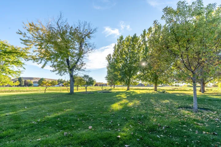 Expansive green lawn with mature trees and a distant natural landscape