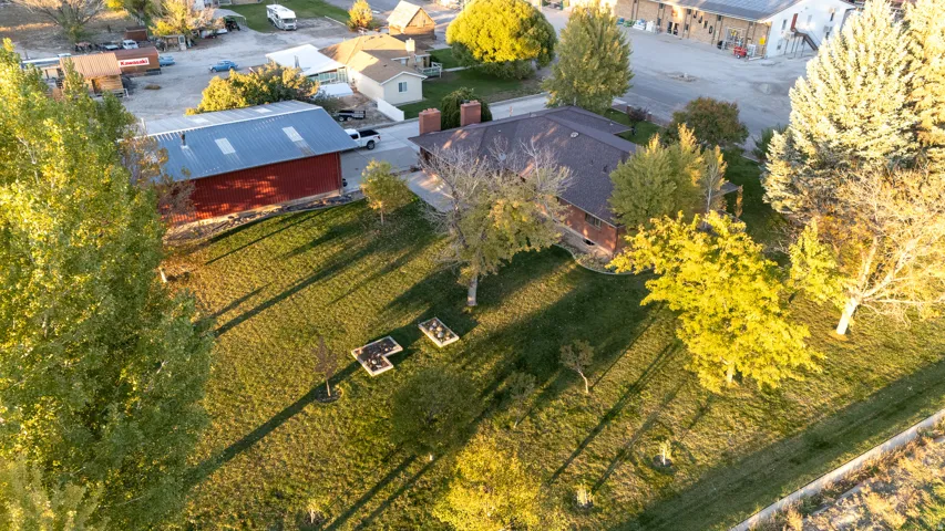Expansive green lawn with mature trees and raised garden beds