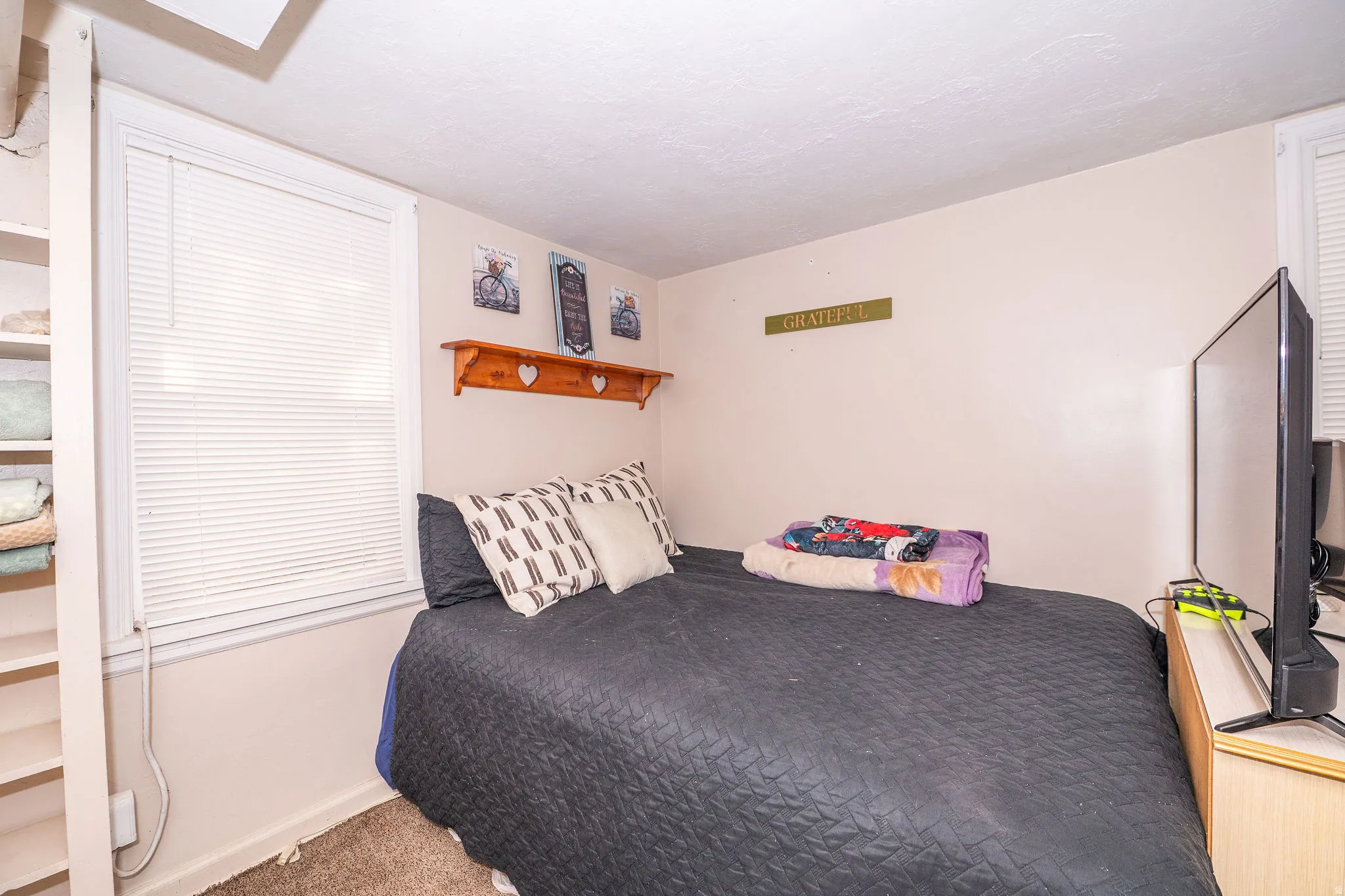 Room featuring light-colored walls and soft carpet flooring