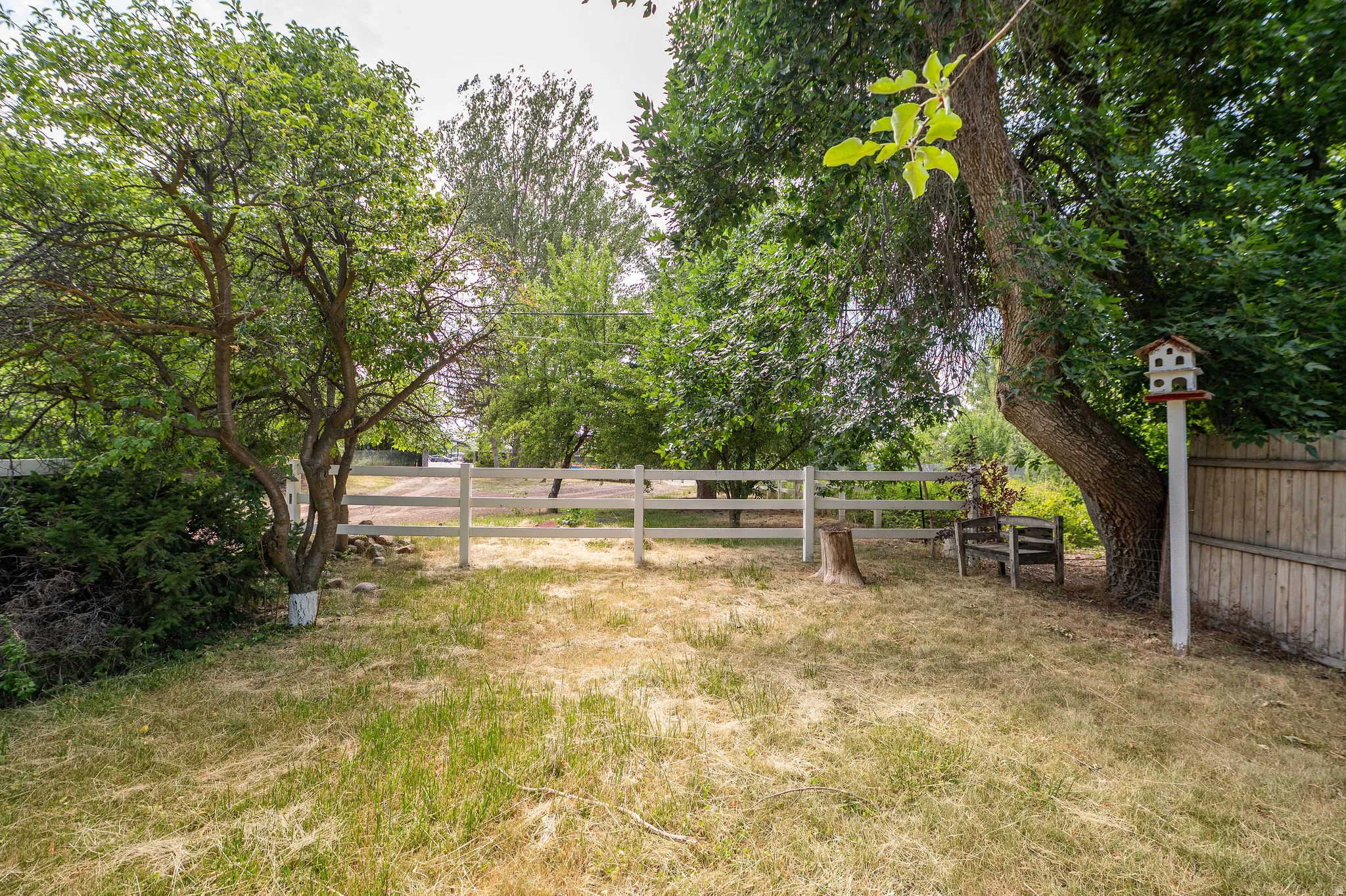 Expansive exterior space featuring a white split-rail fence, mature trees providing natural shade, and established shrubbery