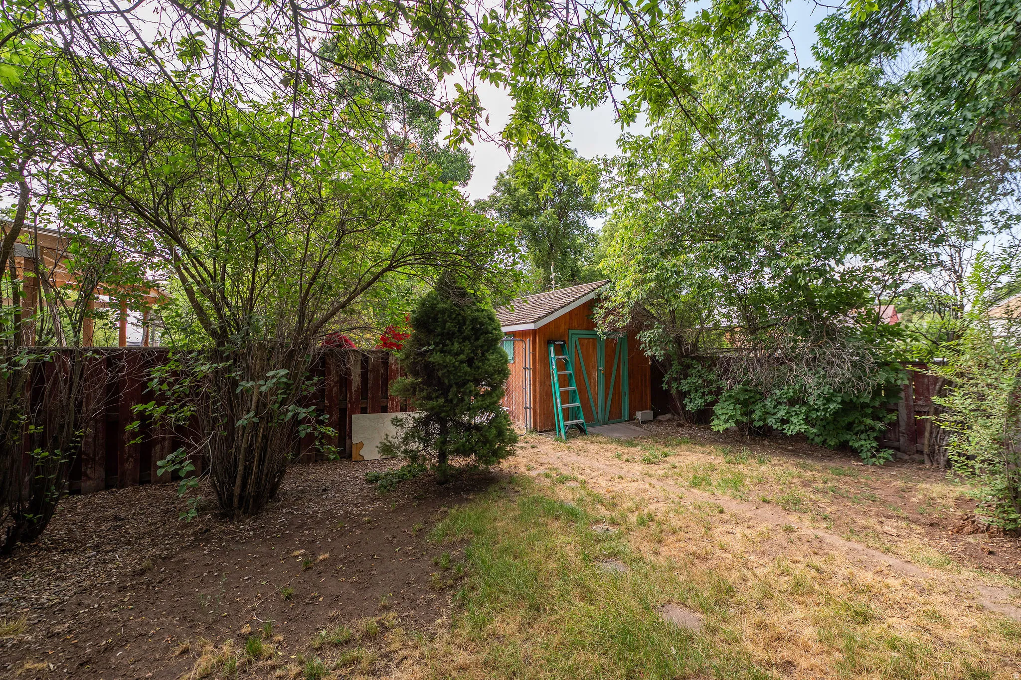Expansive backyard featuring mature trees, a wooden fence, and a storage shed with a shingle roof and double doors