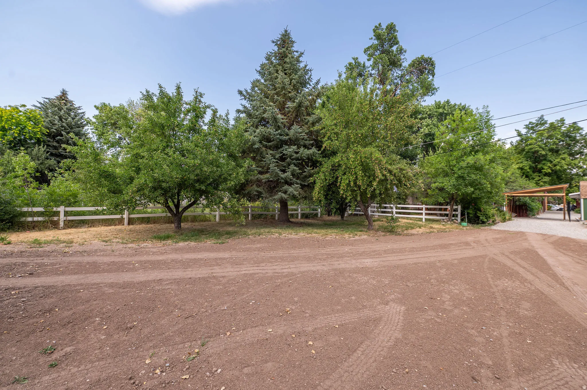 Spacious unpaved area featuring mature trees, a white perimeter fence, and partial gravel driveway with an overhead wood structure