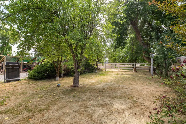 Expansive backyard featuring mature trees, a wooden fence, and diverse shrubbery