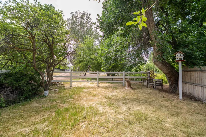 Expansive exterior space featuring a white split-rail fence, mature trees providing natural shade, and established shrubbery