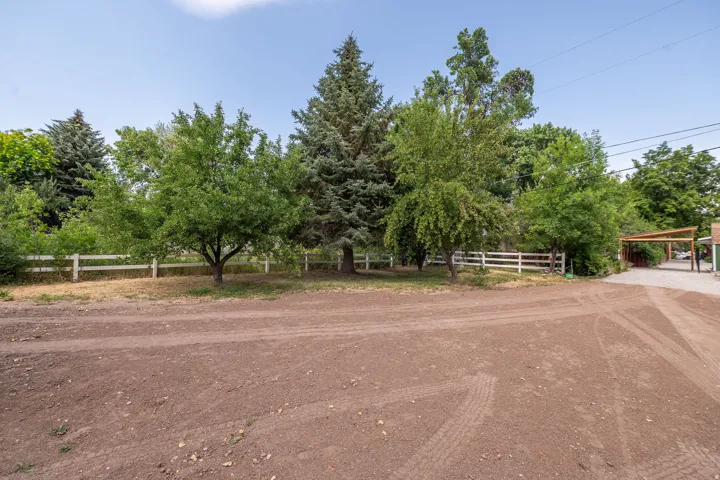 Spacious unpaved area featuring mature trees, a white perimeter fence, and partial gravel driveway with an overhead wood structure