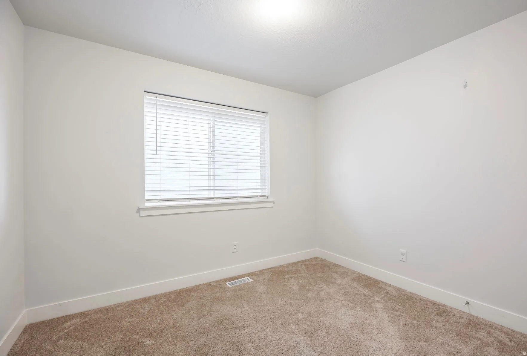 Carpeted room with a window featuring horizontal blinds, white trim, and a ceiling light fixture
