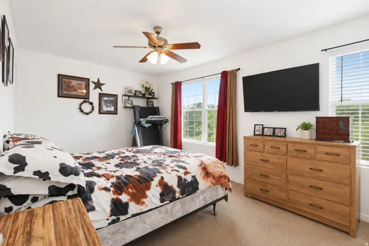 Carpeted room featuring a ceiling fan with light fixture, multiple windows with blinds, a wall-mounted television, and a wood-finish dresser with dark hardware