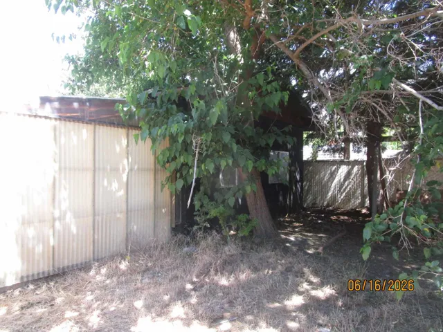 Corrugated metal fencing enclosing a shaded outdoor area with mature trees