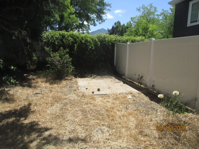 Rear yard area featuring a concrete pad, a partial vinyl fence, and mature perimeter trees