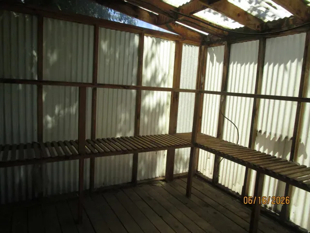 Greenhouse interior featuring corrugated translucent panels and a wood-frame structure
