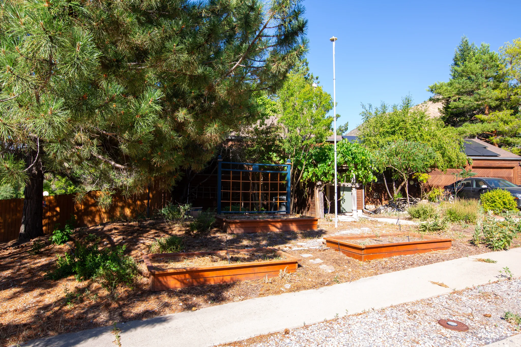 Landscaped front yard featuring two raised planter beds, mature evergreen trees, a privacy fence, and concrete pathway
