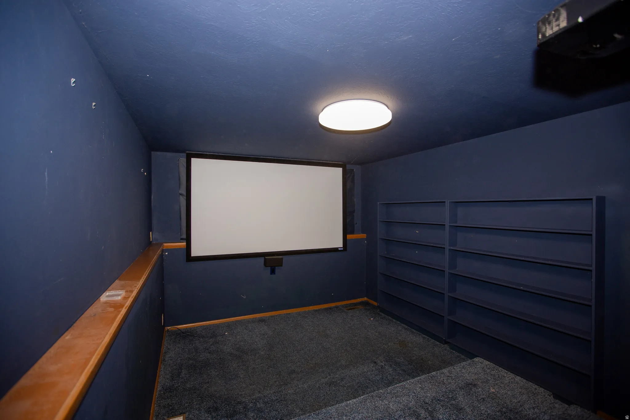 Dedicated entertainment space featuring a projection screen, ceiling-mounted projector, and two walls of built-in shelving