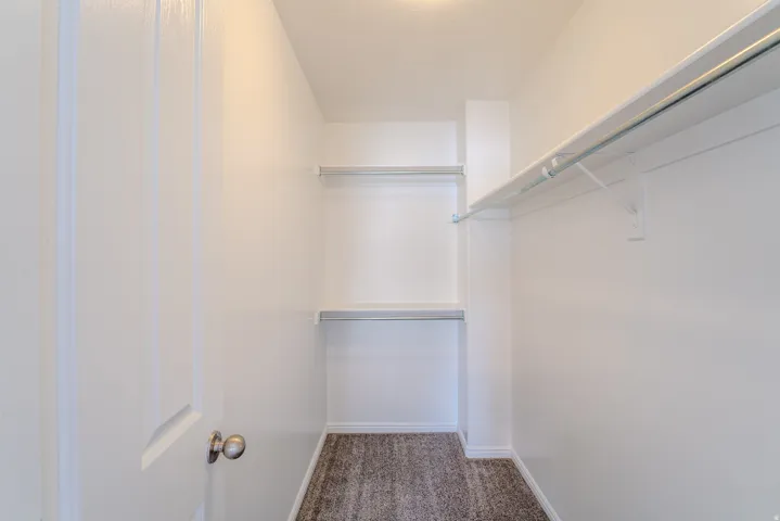 Walk-in closet featuring white walls, carpet flooring, and multiple built-in shelving units with hanging rods