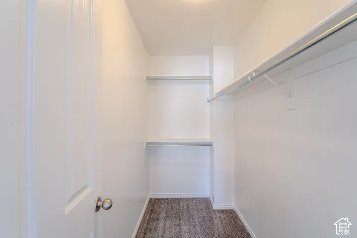 Walk-in closet featuring white walls, carpet flooring, and multiple built-in shelving units with hanging rods