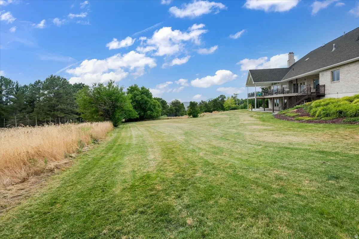Expansive rear yard featuring green lawn, mature trees, and natural grassland