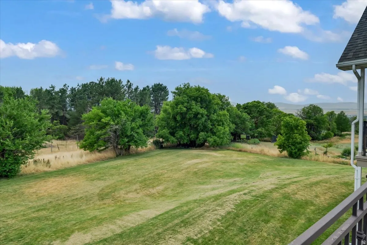 Expansive lawn area with mature trees framing the perimeter