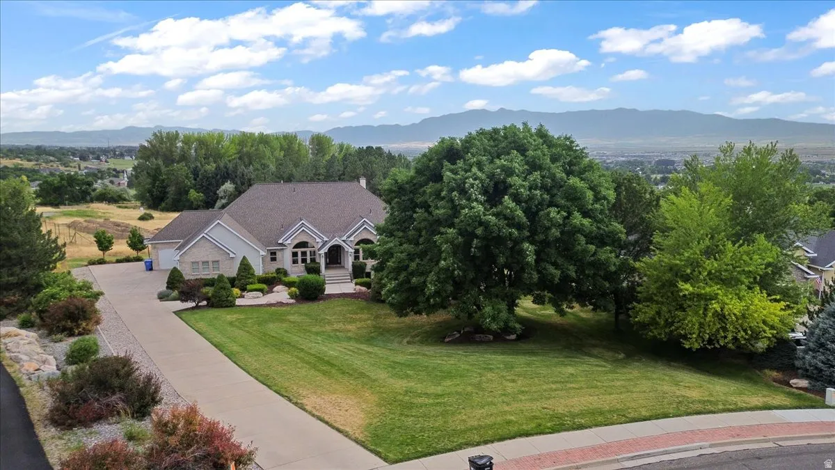 Expansive front exterior with a paved driveway, a manicured lawn, and mature trees