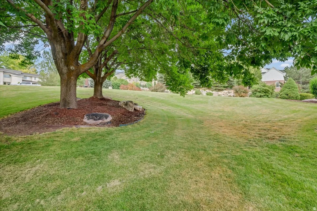 Expansive green lawn with mature trees providing natural shade