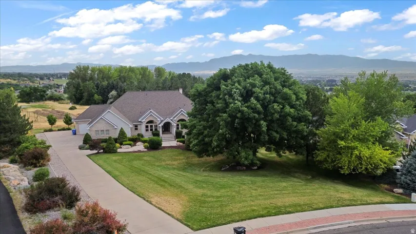 Expansive front exterior with a paved driveway, a manicured lawn, and mature trees