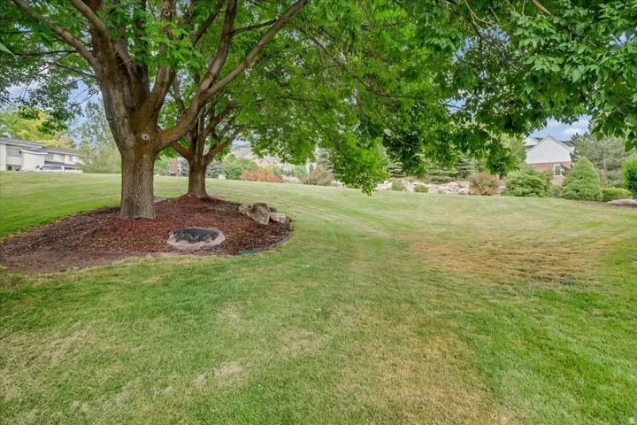 Expansive green lawn with mature trees providing natural shade