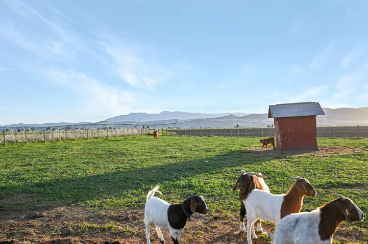 545 N 1600 W, Lewiston, Utah 84320