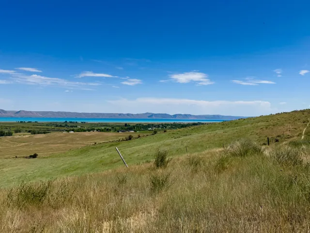 Expansive natural landscape featuring rolling hills of varied green and golden grasses under a bright blue sky with scattered clouds