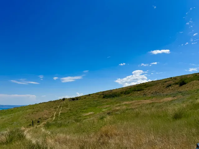 Expansive hillside property featuring natural terrain and varied grasses