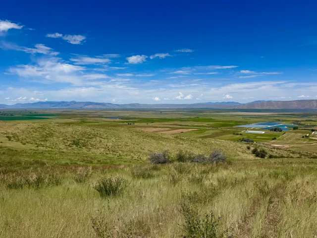 Expansive open terrain with natural grasslands, distant mountains, and a clear blue sky