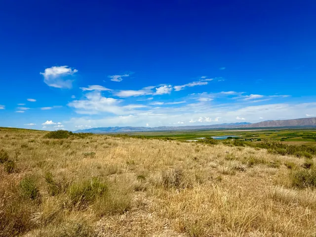 Expansive open land featuring mature golden grasses and scattered green shrubbery