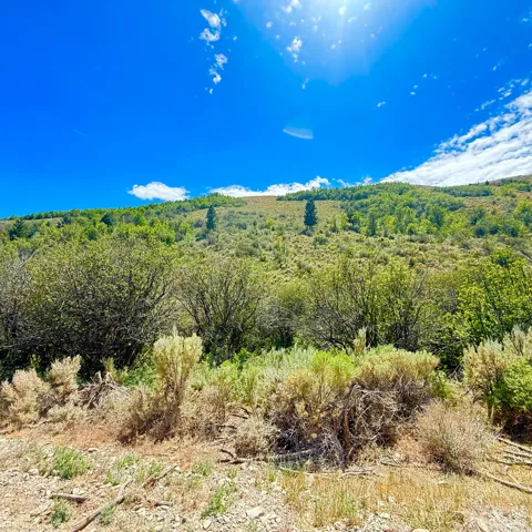Expansive undeveloped land featuring natural vegetation and rolling hills