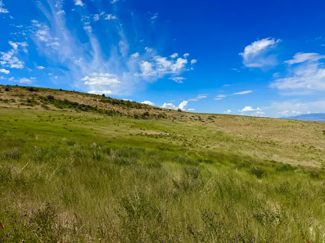 Expansive natural landscape featuring rolling hills and varied green vegetation