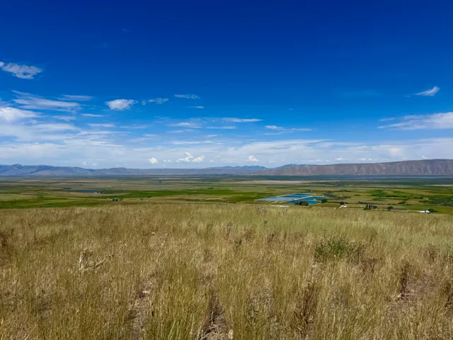 Expansive natural landscape featuring a broad field of golden-brown grasses