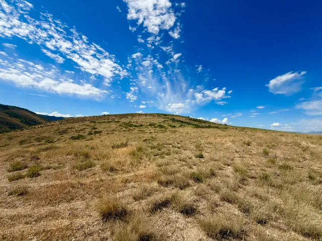 Expansive natural landscape featuring rolling hills and varied dry grasses under a vast blue sky