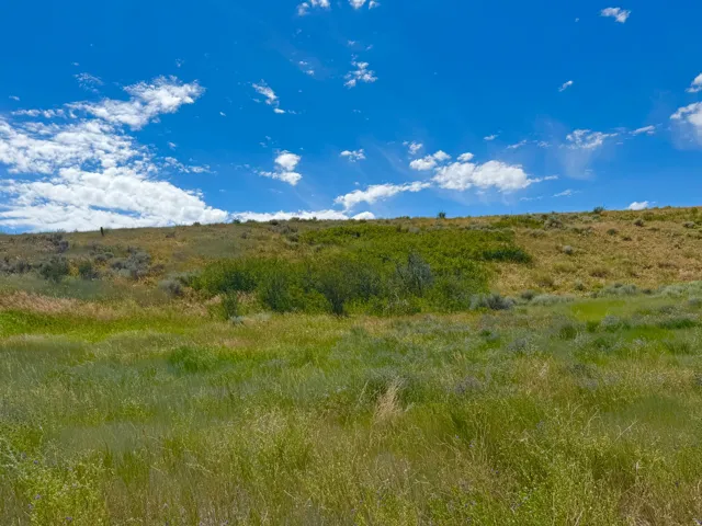 Expansive natural landscape featuring rolling hills with varied vegetation, including green grasses and brush