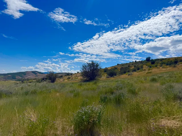 Expansive open terrain featuring natural vegetation, distant rolling hills, and a clear blue sky with scattered clouds
