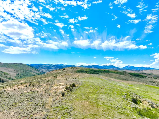 Expansive rolling hills featuring natural grasslands and scattered brush