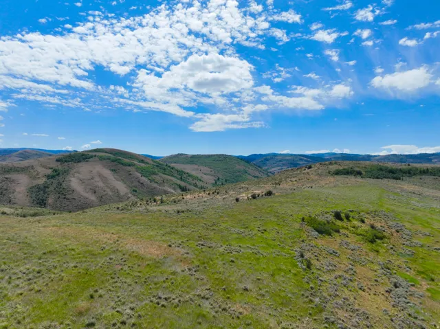 Expansive rolling hills featuring natural grasses, scattered brush, and distant tree lines under a vast blue sky