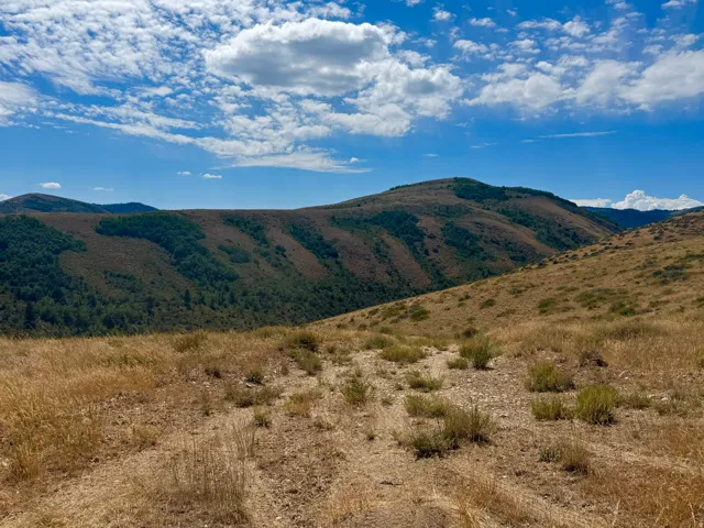 Expansive mountainous terrain featuring natural vegetation, distant tree lines, and a vast blue sky with scattered clouds