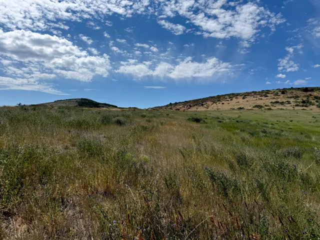 Expansive undeveloped land featuring rolling hills and varied natural vegetation