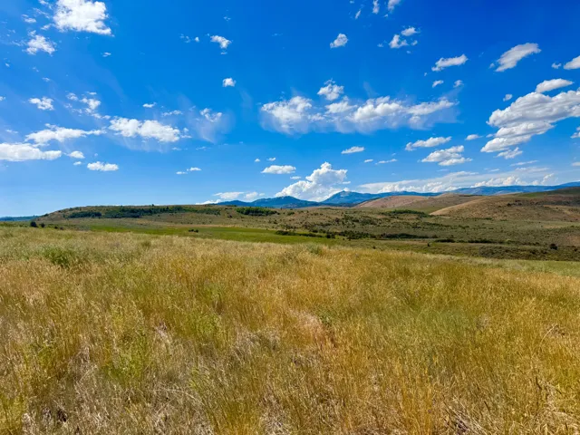 Expansive acreage featuring natural grasslands and distant mountain ranges under a clear sky