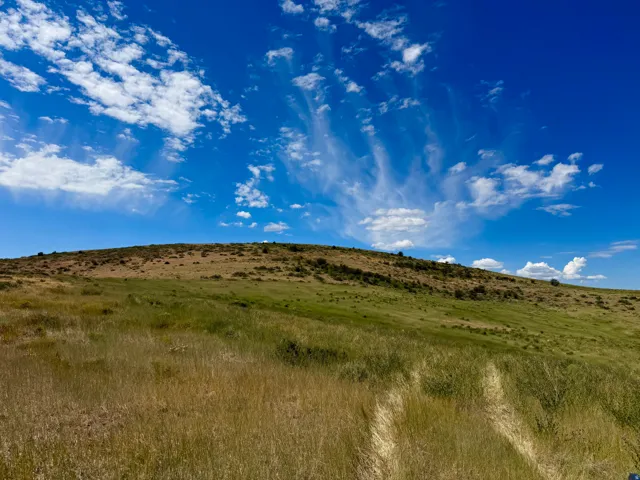 Expansive undeveloped land featuring natural terrain and varied vegetation
