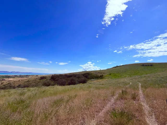 Expansive grassy hillside with distant water and mountain ranges