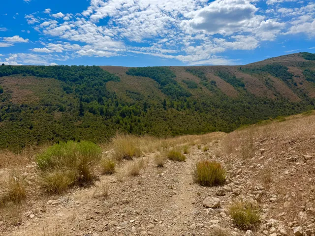 Expansive undeveloped land featuring a natural dirt path, scattered dry grasses, and low-lying scrub brush