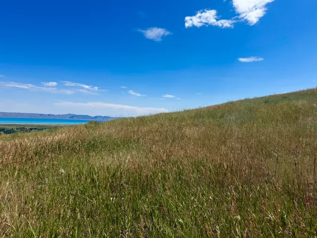 Expansive hillside acreage featuring natural grasses, a sloped terrain, and distant water scenery with mountain formations