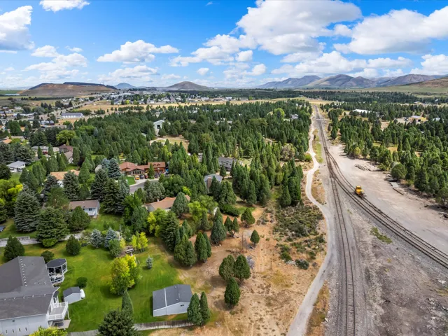 Aerial perspective showcasing a residential area featuring mature trees and established homes