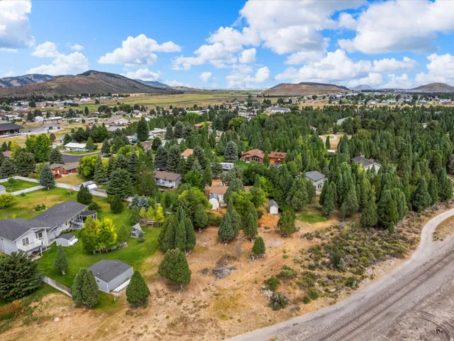Expansive treed landscape featuring multiple residential properties with varied architectural styles