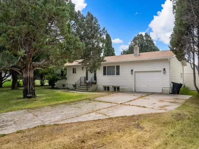 Ranch-style exterior featuring white siding, a single-car garage, and a concrete driveway
